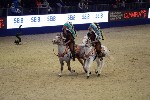Quadrille - 00355